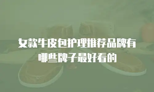女款牛皮包护理推荐品牌有哪些牌子最好看的