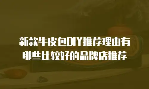 新款牛皮包DIY推荐理由有哪些比较好的品牌店推荐