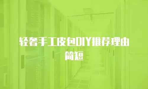 轻奢手工皮包DIY推荐理由简短