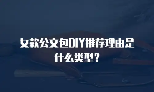 女款公文包DIY推荐理由是什么类型？