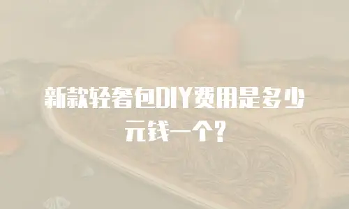 新款轻奢包DIY费用是多少元钱一个?