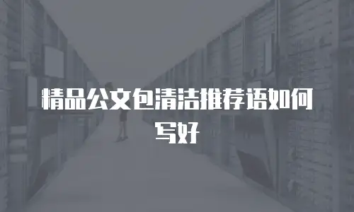 精品公文包清洁推荐语如何写好