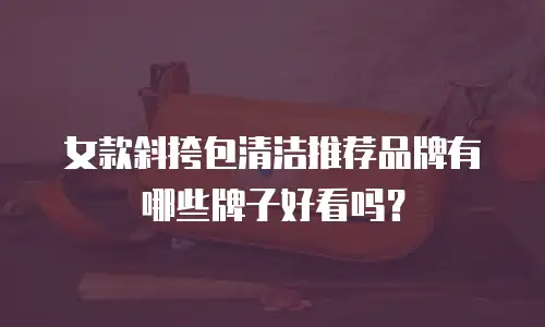 女款斜挎包清洁推荐品牌有哪些牌子好看吗？