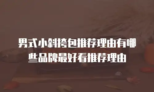 男式小斜挎包推荐理由有哪些品牌最好看推荐理由