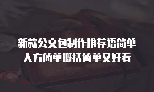新款公文包制作推荐语简单大方简单概括简单又好看