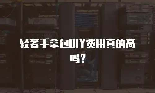 轻奢手拿包DIY费用真的高吗？