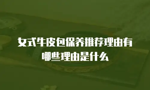 女式牛皮包保养推荐理由有哪些理由是什么