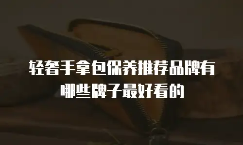 轻奢手拿包保养推荐品牌有哪些牌子最好看的
