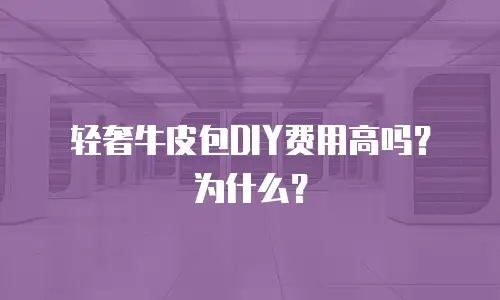 轻奢牛皮包DIY费用高吗？为什么？