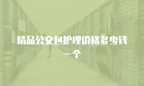 精品公文包护理价格多少钱一个