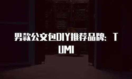男款公文包DIY推荐品牌：TUMI