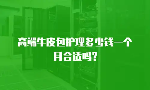 高端牛皮包护理多少钱一个月合适吗？
