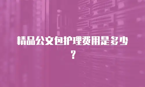 精品公文包护理费用是多少？