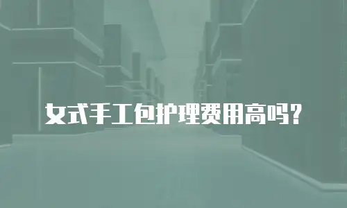 女式手工包护理费用高吗？