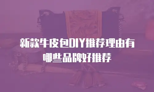 新款牛皮包DIY推荐理由有哪些品牌好推荐