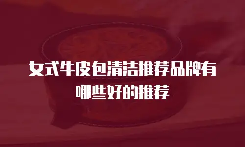 女式牛皮包清洁推荐品牌有哪些好的推荐
