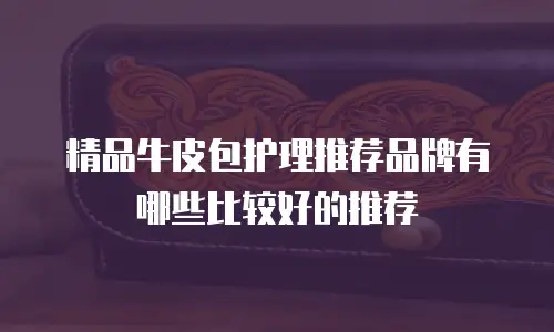 精品牛皮包护理推荐品牌有哪些比较好的推荐