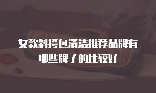 女款斜挎包清洁推荐品牌有哪些牌子的比较好