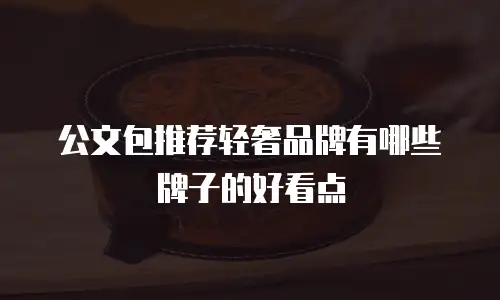 公文包推荐轻奢品牌有哪些牌子的好看点