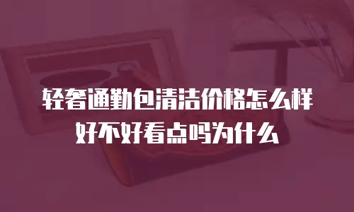 轻奢通勤包清洁价格怎么样好不好看点吗为什么