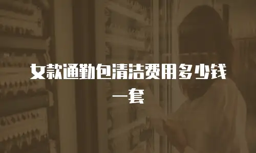 女款通勤包清洁费用多少钱一套