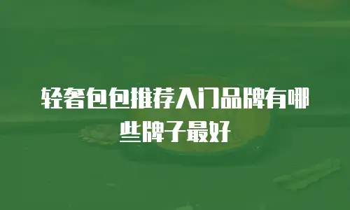轻奢包包推荐入门品牌有哪些牌子最好