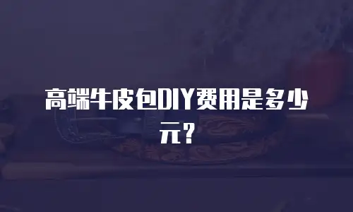 高端牛皮包DIY费用是多少元？