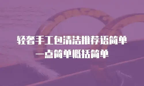 轻奢手工包清洁推荐语简单一点简单概括简单