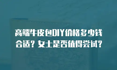 高端牛皮包DIY价格多少钱合适？女士是否值得尝试？