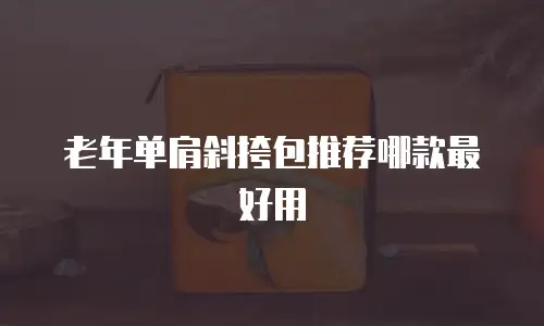 老年单肩斜挎包推荐哪款最好用