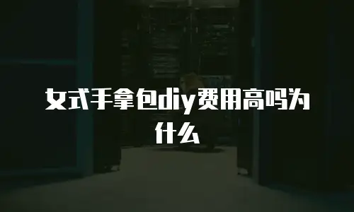 女式手拿包diy费用高吗为什么