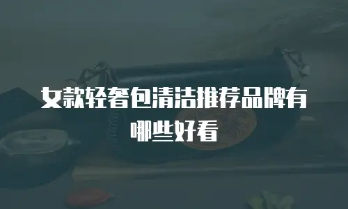 女款轻奢包清洁推荐品牌有哪些好看
