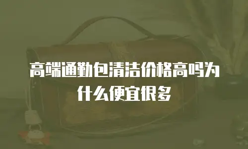高端通勤包清洁价格高吗为什么便宜很多