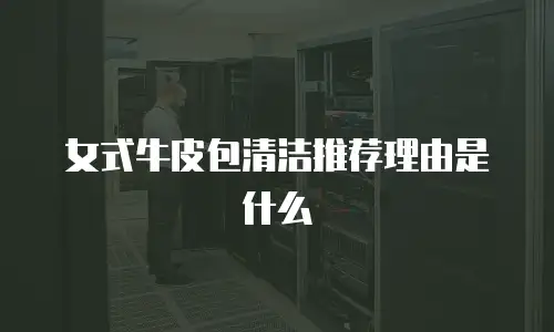 女式牛皮包清洁推荐理由是什么