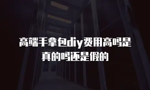 高端手拿包diy费用高吗是真的吗还是假的