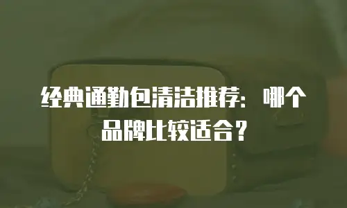 经典通勤包清洁推荐：哪个品牌比较适合？