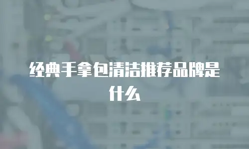 经典手拿包清洁推荐品牌是什么