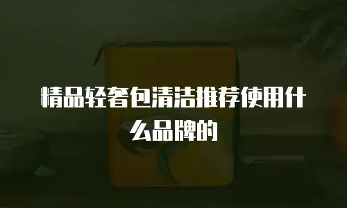 精品轻奢包清洁推荐使用什么品牌的