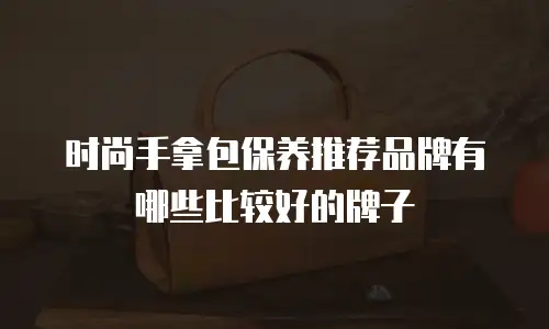 时尚手拿包保养推荐品牌有哪些比较好的牌子