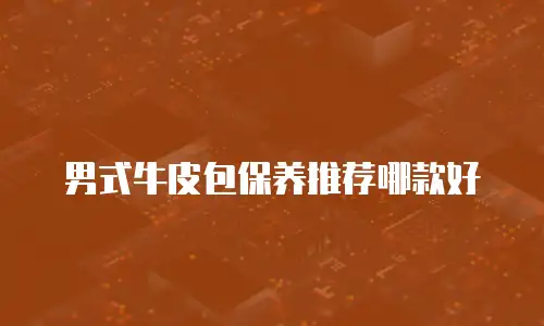 男式牛皮包保养推荐哪款好