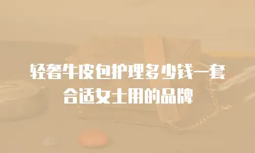 轻奢牛皮包护理多少钱一套合适女士用的品牌
