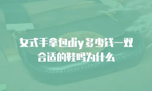 女式手拿包diy多少钱一双合适的鞋吗为什么