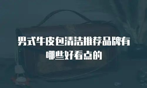 男式牛皮包清洁推荐品牌有哪些好看点的