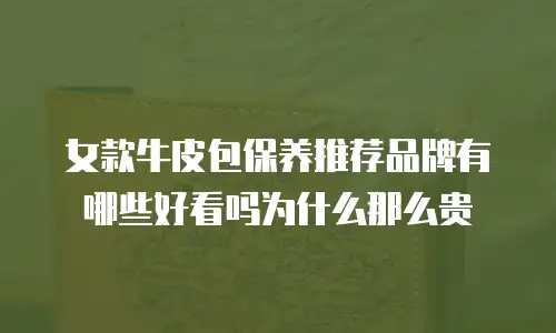 女款牛皮包保养推荐品牌有哪些好看吗为什么那么贵