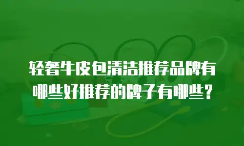 轻奢牛皮包清洁推荐品牌有哪些好推荐的牌子有哪些?