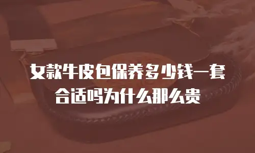 女款牛皮包保养多少钱一套合适吗为什么那么贵