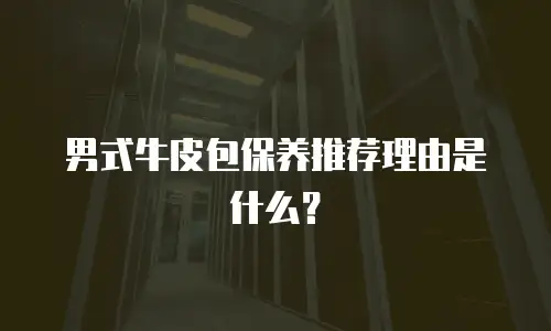 男式牛皮包保养推荐理由是什么？