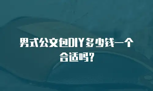 男式公文包DIY多少钱一个合适吗？