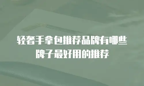 轻奢手拿包推荐品牌有哪些牌子最好用的推荐