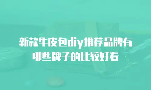 新款牛皮包diy推荐品牌有哪些牌子的比较好看